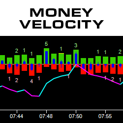 Money Velocity